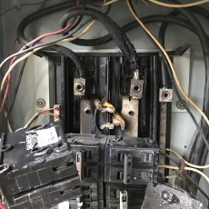 Panel Lost Power Due to Gecko