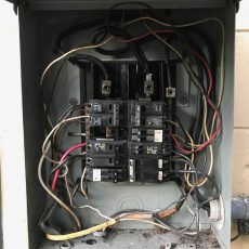 Panel Lost Power Due to Two Geckos